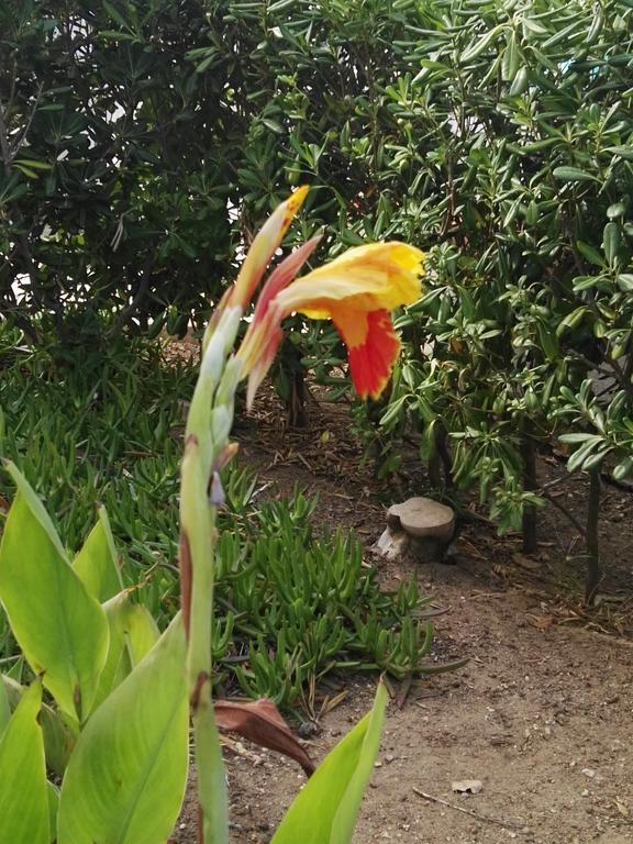 Villalba 카스텔라마레델골포 외부 사진